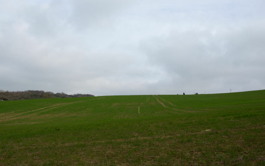 Agroforesterie