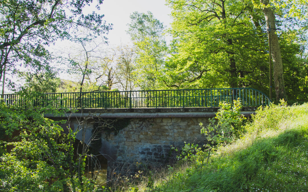 Remplacement des rembardes