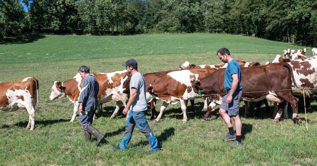 la ferme des bertrand