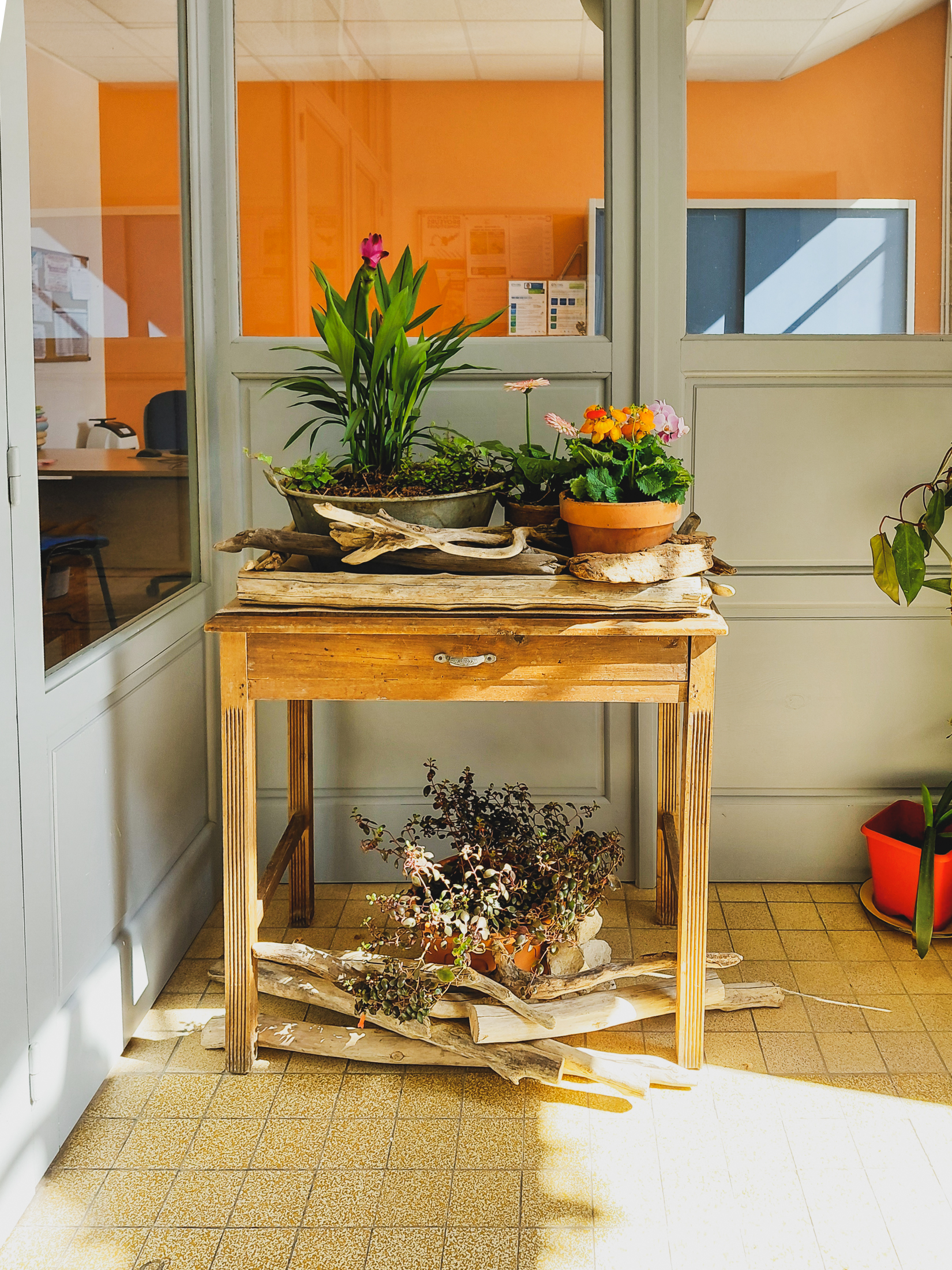 L’entrée de la mairie s’est parée de sa robe de printemps 🌸