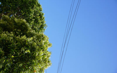 Entretien de la végétation à proximité des lignes aériennes