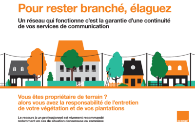 Entretien de la végétation à proximité des lignes aériennes